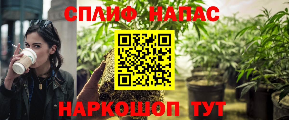 Можайск  Марихуана Bruce Banner  Бошки Шишки гибрид  МАРИХУАНА планчик  Вход с VPN 